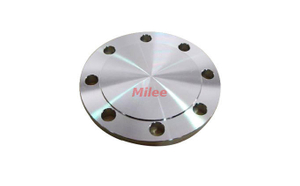 Blind Flange